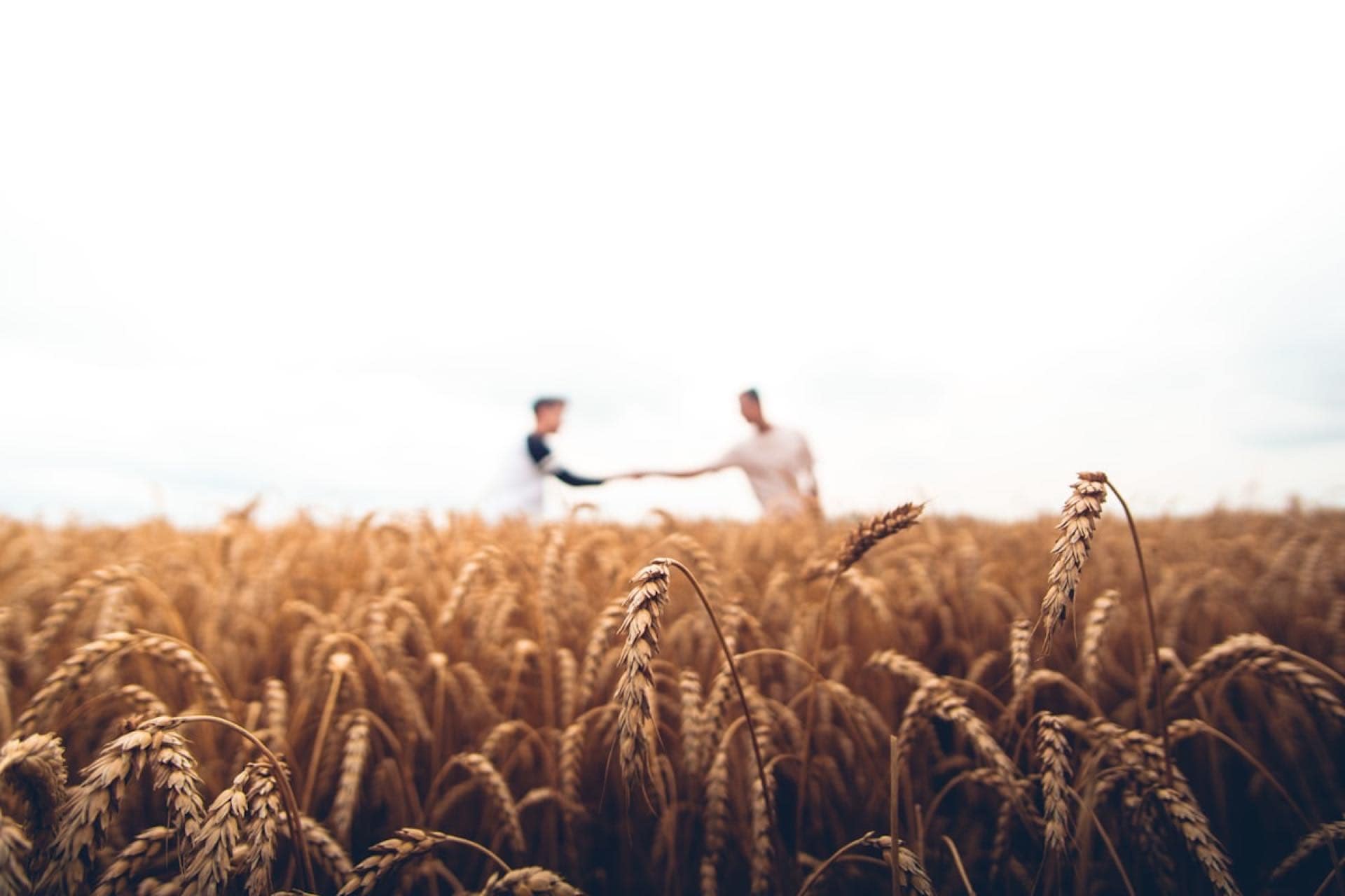 Farm Land
